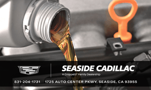 Oil Change and Tire Rotation, MPI